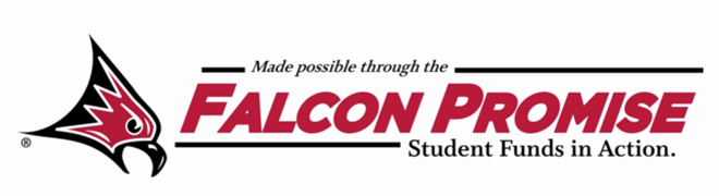 Falcon Promise Logo