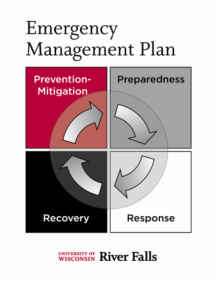Diagram showing Emergency Plan Process