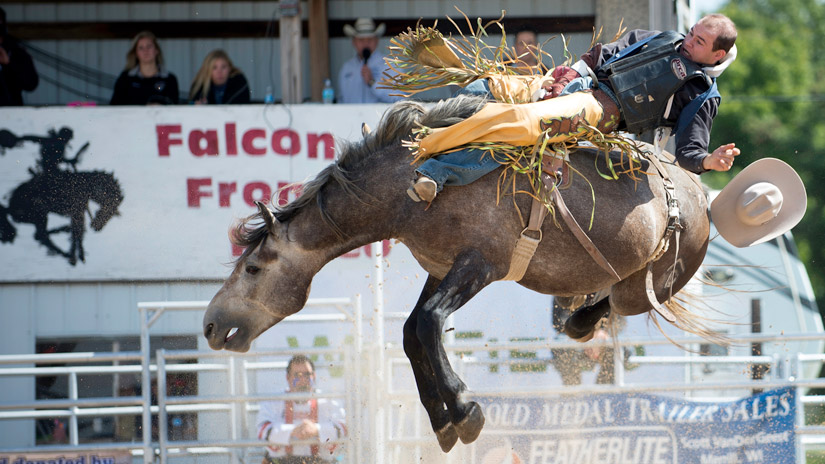 Falcon Frontier Days Rodeo