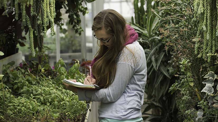 PES Student in the Greenhouse Nov 2014