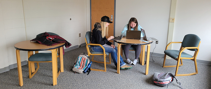 Two students work together in a study lounge in Grimm hall with chairs and tables.