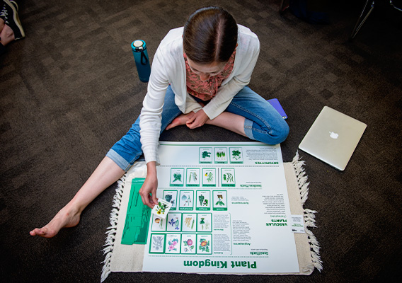 Montessori Graduate student studies the plant kingdom during class