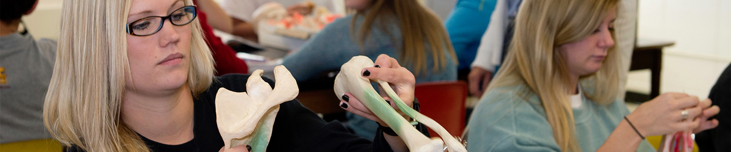 Pre-Medicine student examines two bones during an Anatomy class