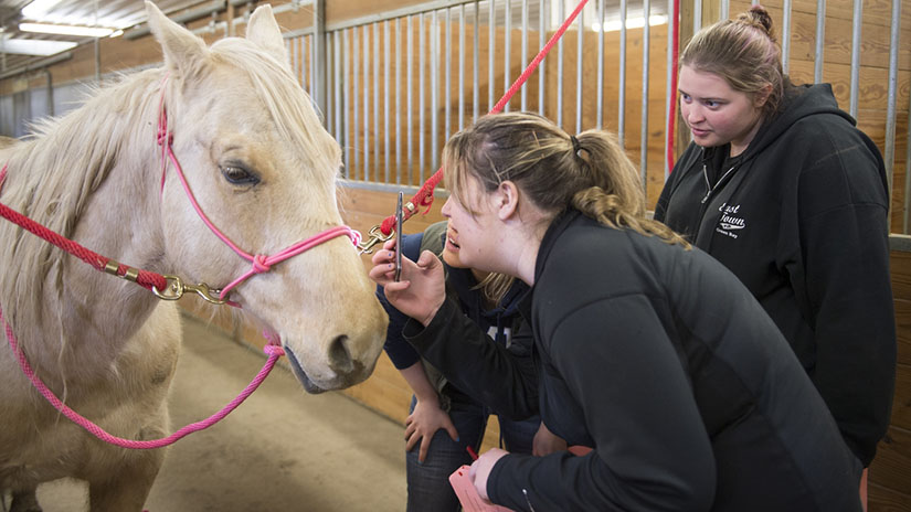 ANFS Equine Campus Farm students
