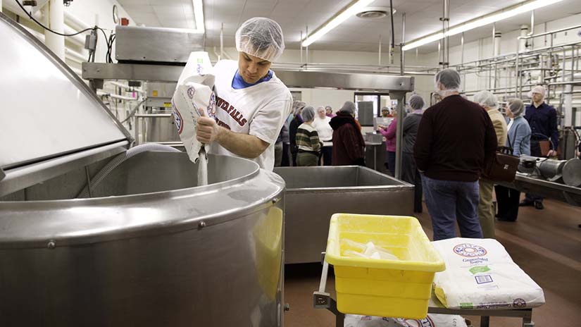 SIE Falcon Cheese Student Dairy Plant