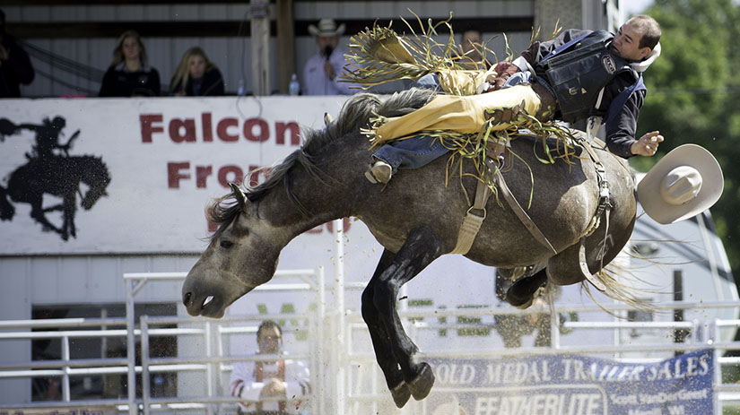 Falcon Frontier Days Rodeo Horse Rider