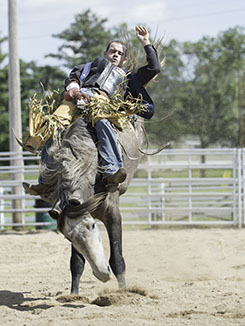 Falcon Frontier Days Rodeo Rider vertical