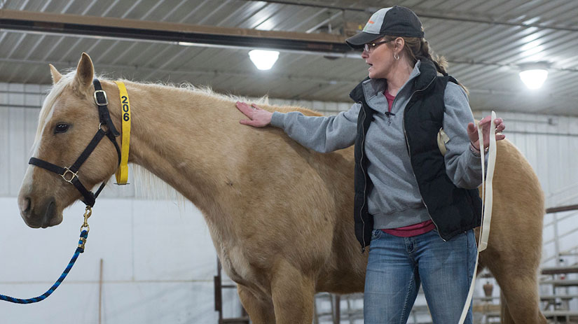 Horse Judging Clinic Cassie Bass