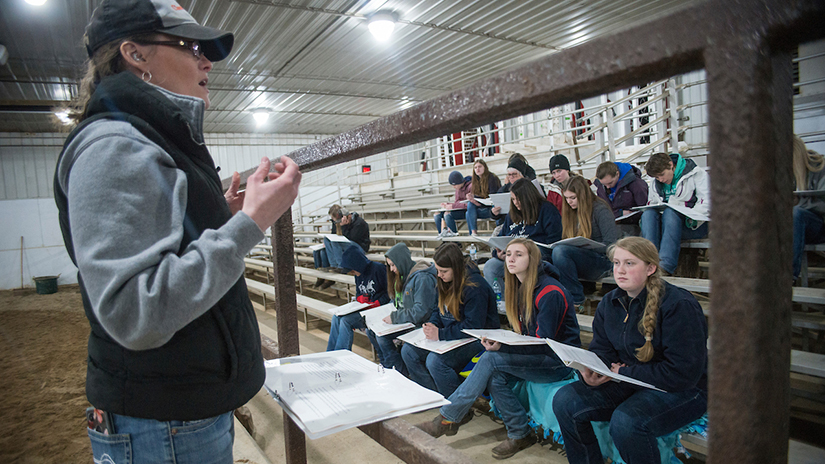 Horse Judging Clinic Bass