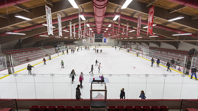 Hunt Arena- Falcon Center