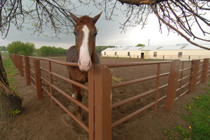 Campus Farm