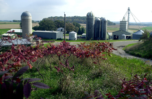 Mann Valley Farm