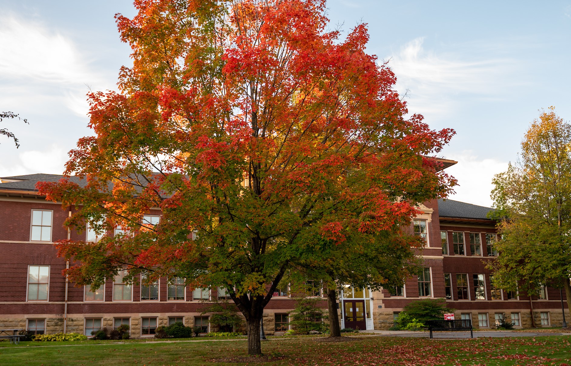 Fall campus scene