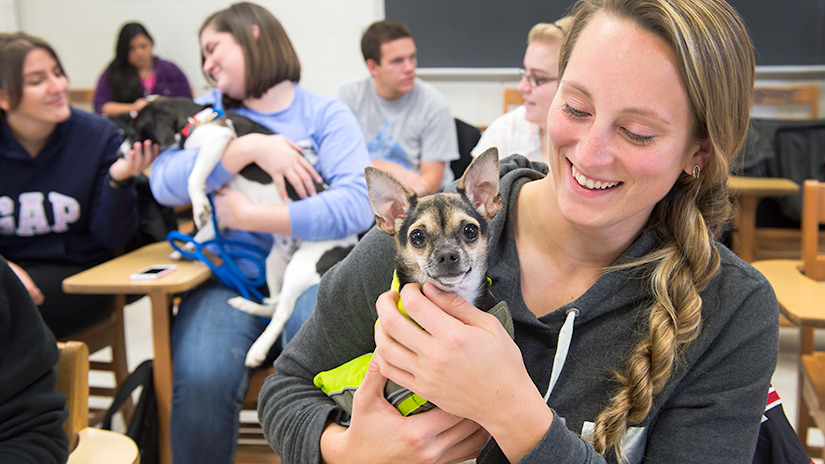 Student holding a small dog