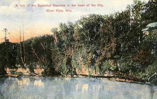 1908 - The Kinni as a trout stream