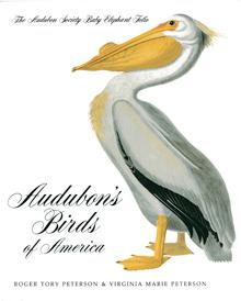 Audubon001-small