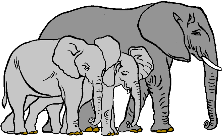 Clipart art showing 3 elephants
