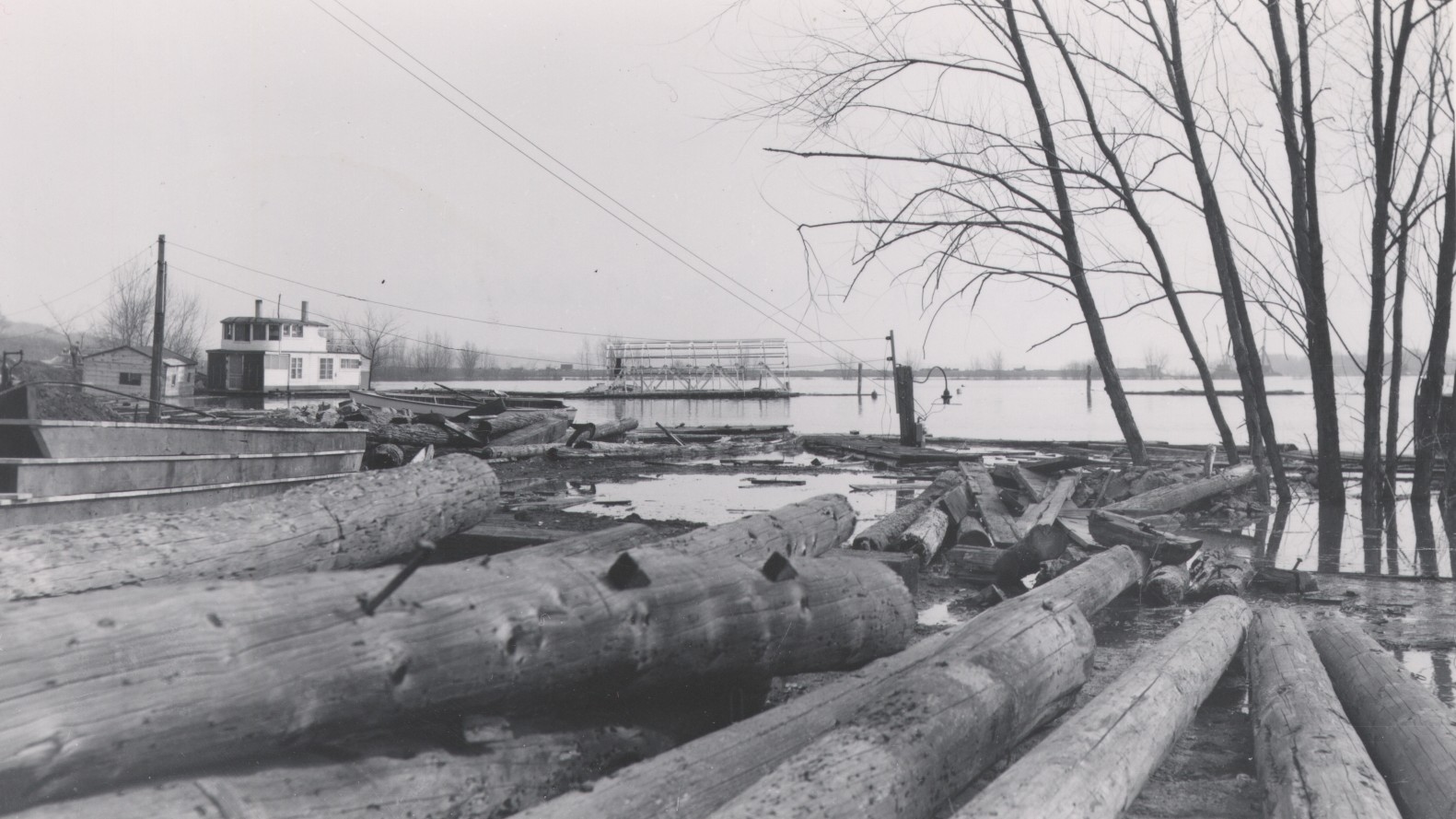 Logging on the Hudson Waterfront