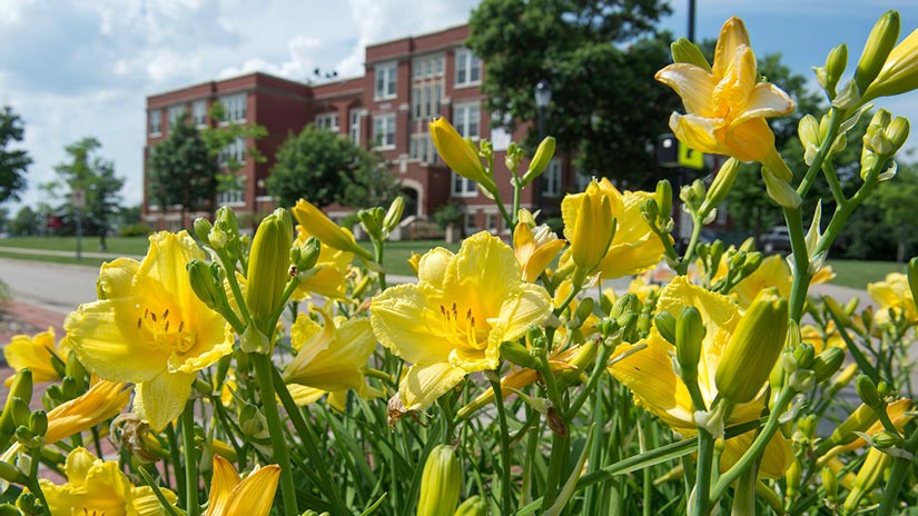 summer campus