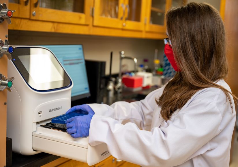 Student Emily Larsen using PCR technology