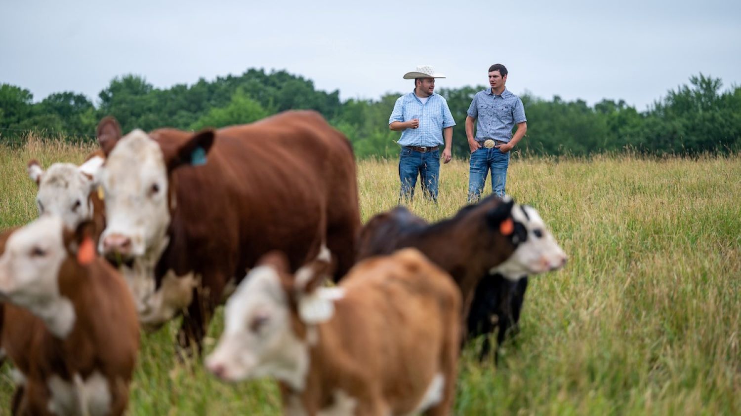 Beef Production Class