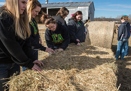 Equine production class at the campus farm
