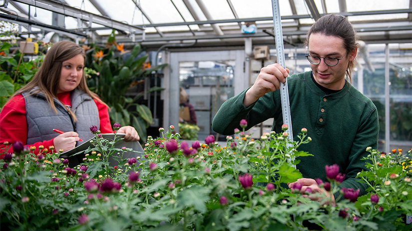 Students measuring plants in the greenhouse