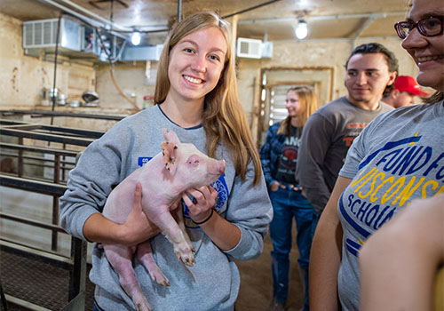 UWRF student holding piglet Mann Valley Farm