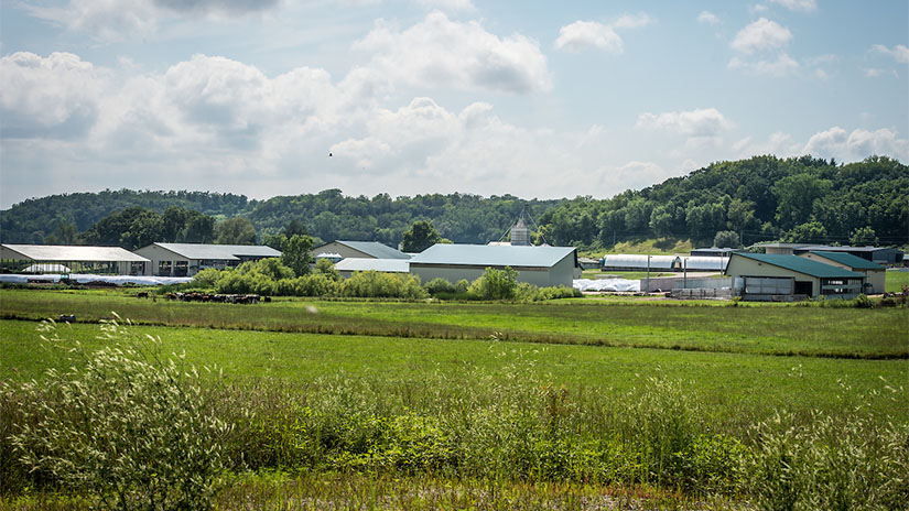 Mann Valley Farm landscape
