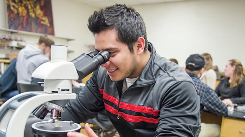 Student peering through a microscope