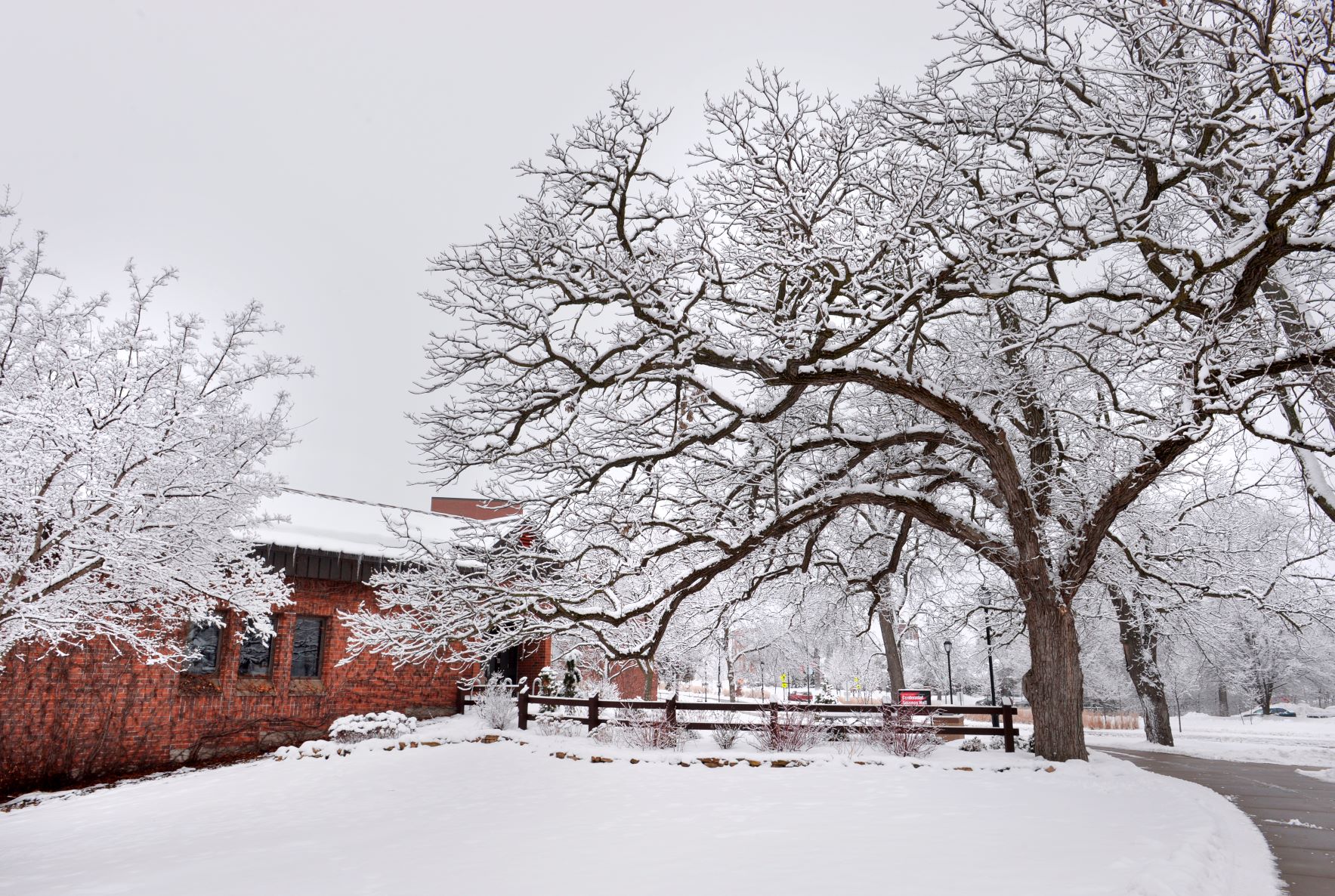 Campus snow 2016 2022
