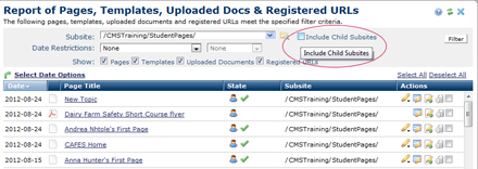 Report Include Child Site