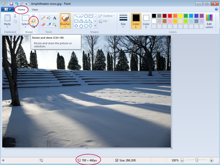 Resize and Skew in Paint