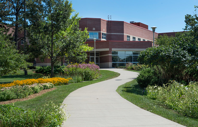 Communication sciences and disorders