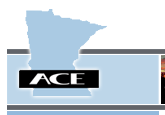 MN Ace logo