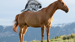 Porcupine riding horseback