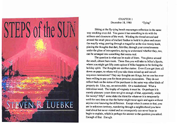 Steps of the Sun by Steve Luebke Steps of the Sun by Steve Luebke