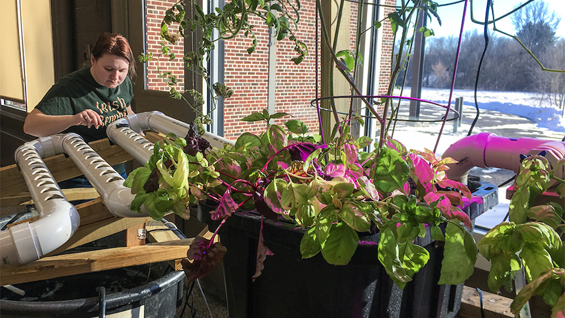 Ag Engineering hydroponic project