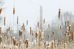 Heating Plant Photo