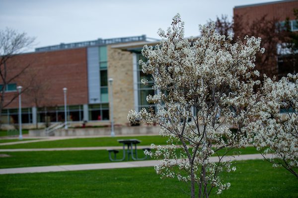 Spring Campus Scene