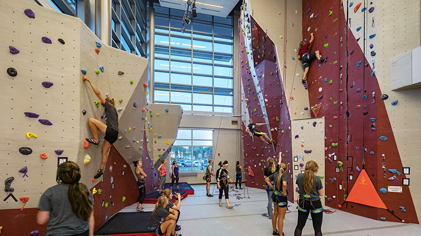 Climbing Wall