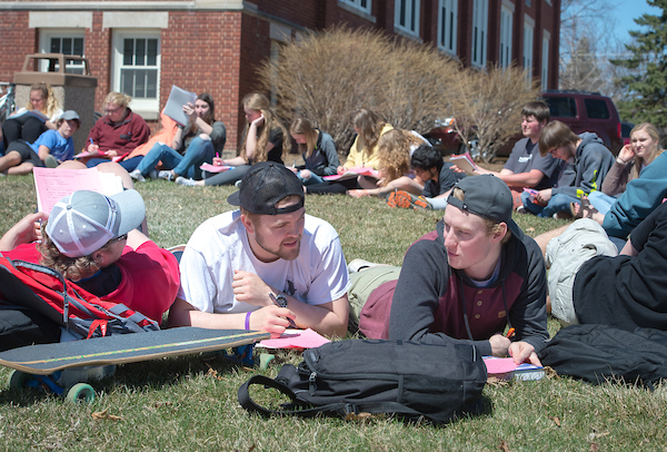 Students Studying on Lawn