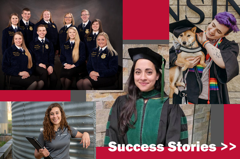 Success Stories