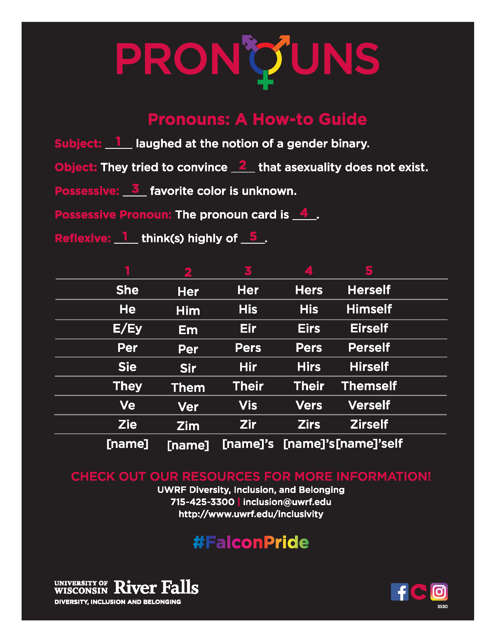 Pronoun How To Guide