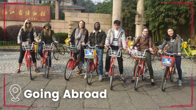 Going Abroad Banner