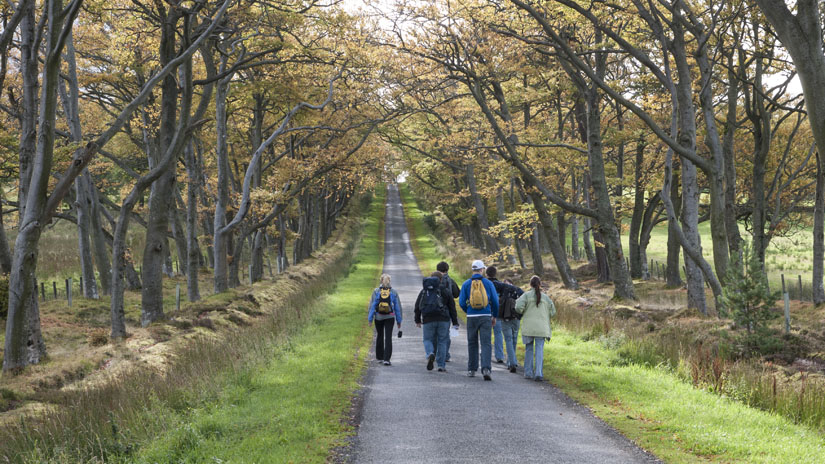 Students Walking Abroad