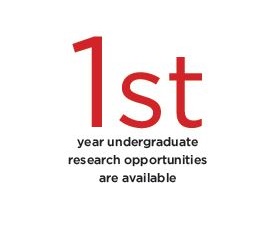 1st year undergraduate research opportunities are available