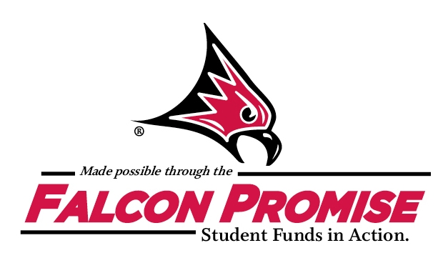 FalconPromise2