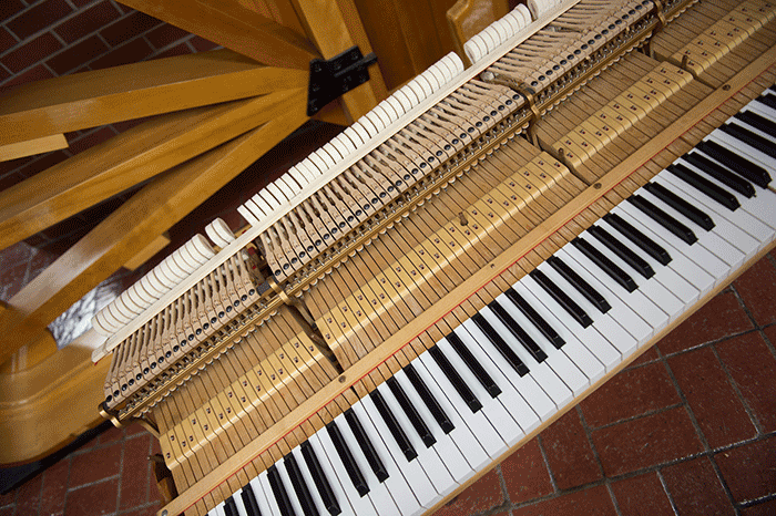 Disassembled Piano