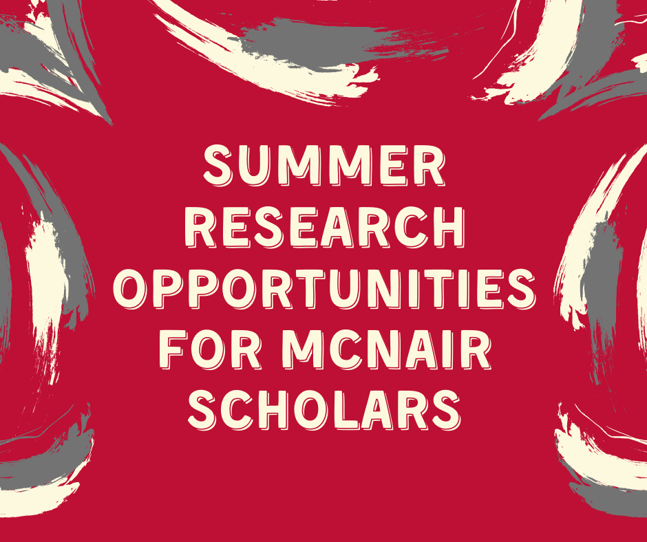 Summer Research Opportunities